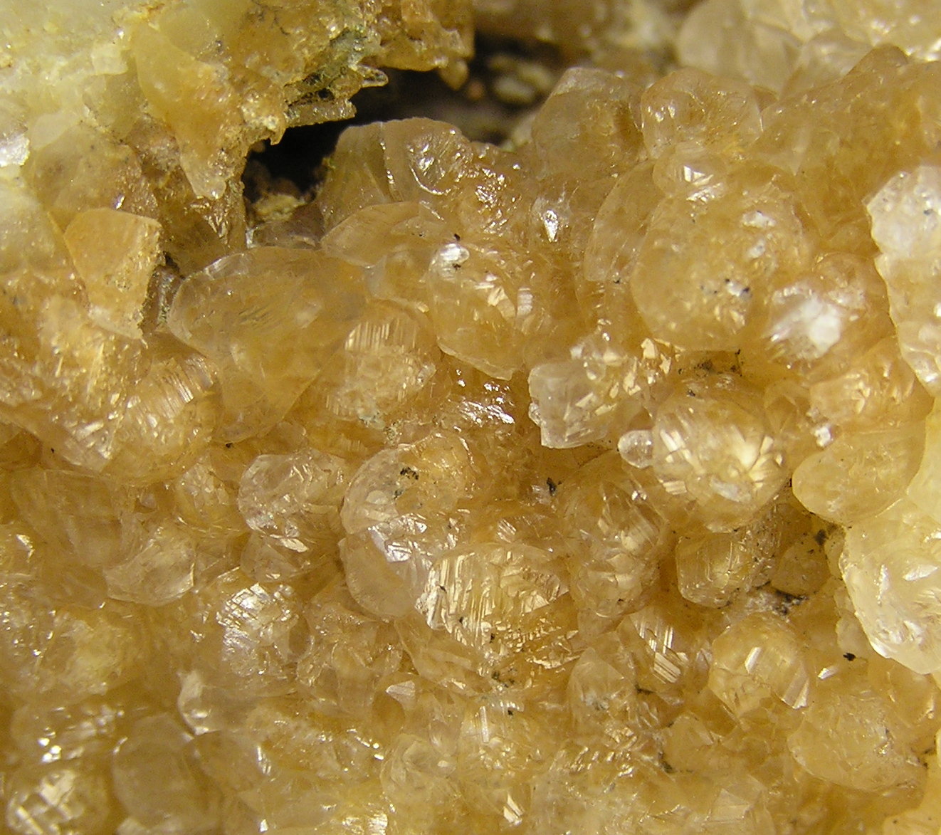 Calcita
Encuadre 2,5 x 2 cm aprox.
(Autor: Frederic Varela)