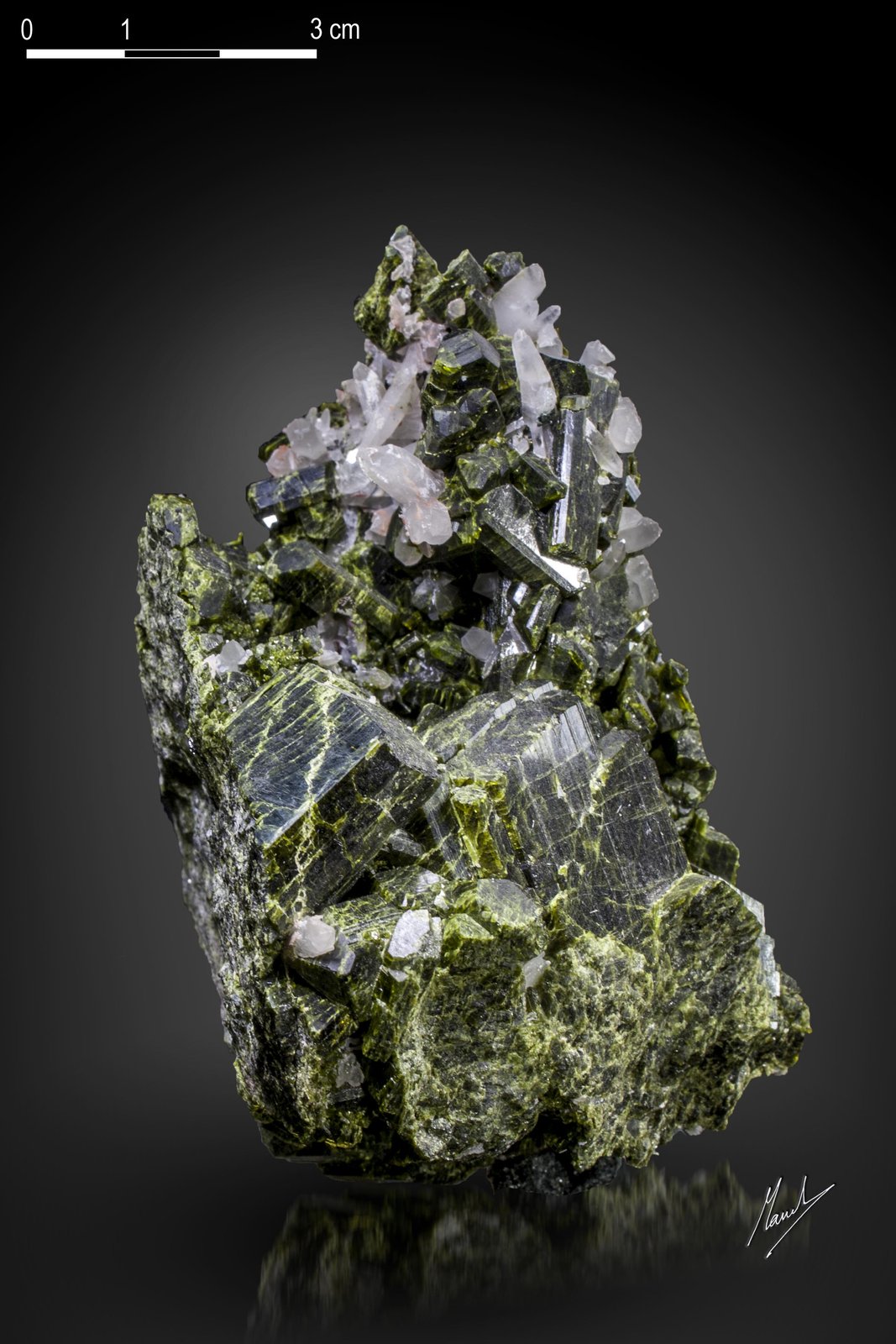 Epidota
94 X 65 mm
(Autor: Manuel Mesa)