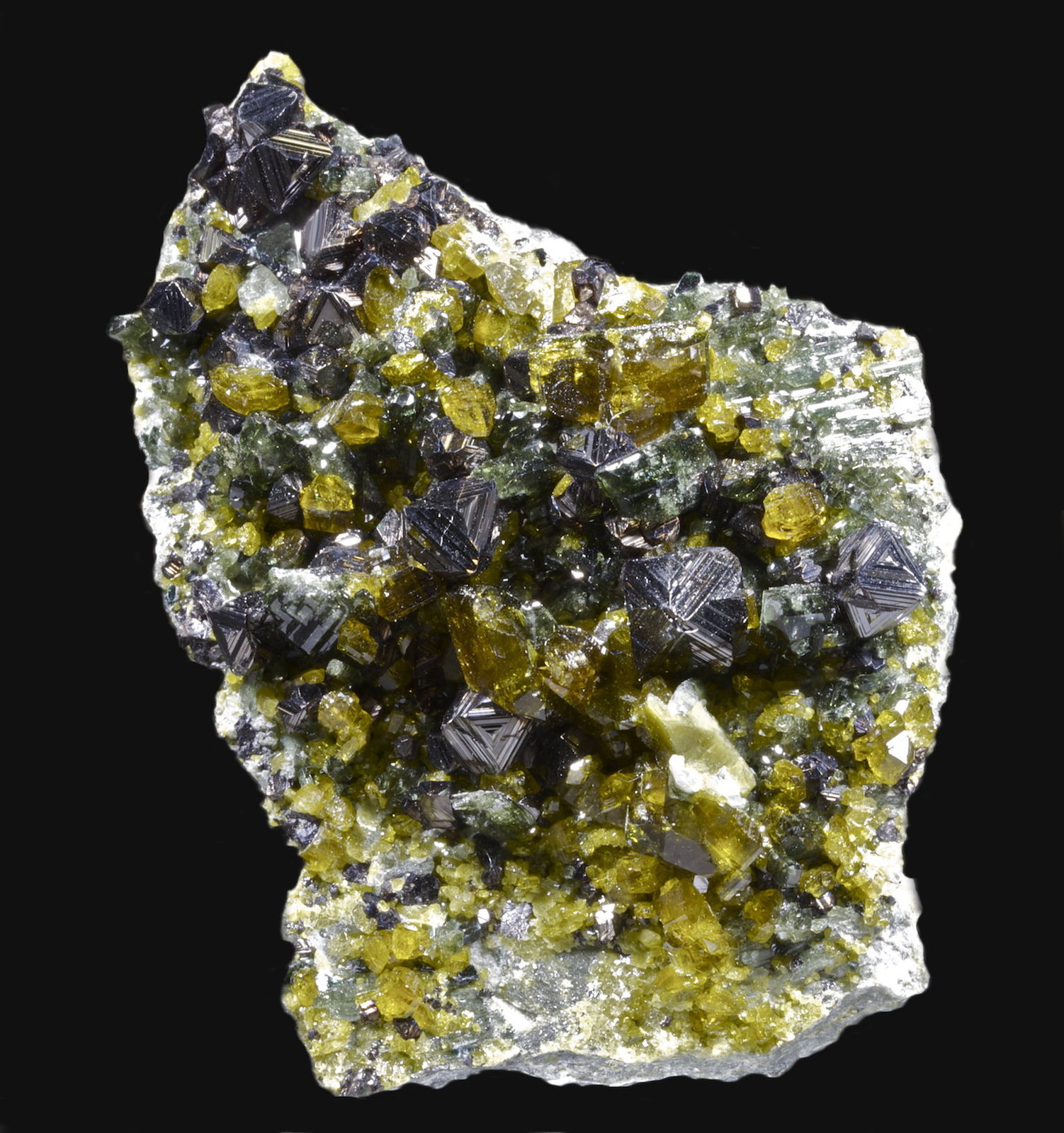 Magnetita, Andradita, Diópsido
6,2 x 4,5 cm.
(Autor: Xavier bordas)