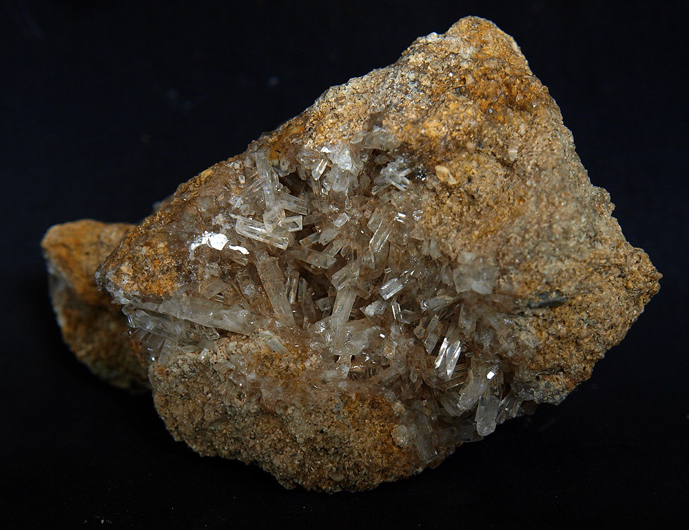 Celestina
7.5 x 4.5 cm
(Autor: Pedro Antonio)
