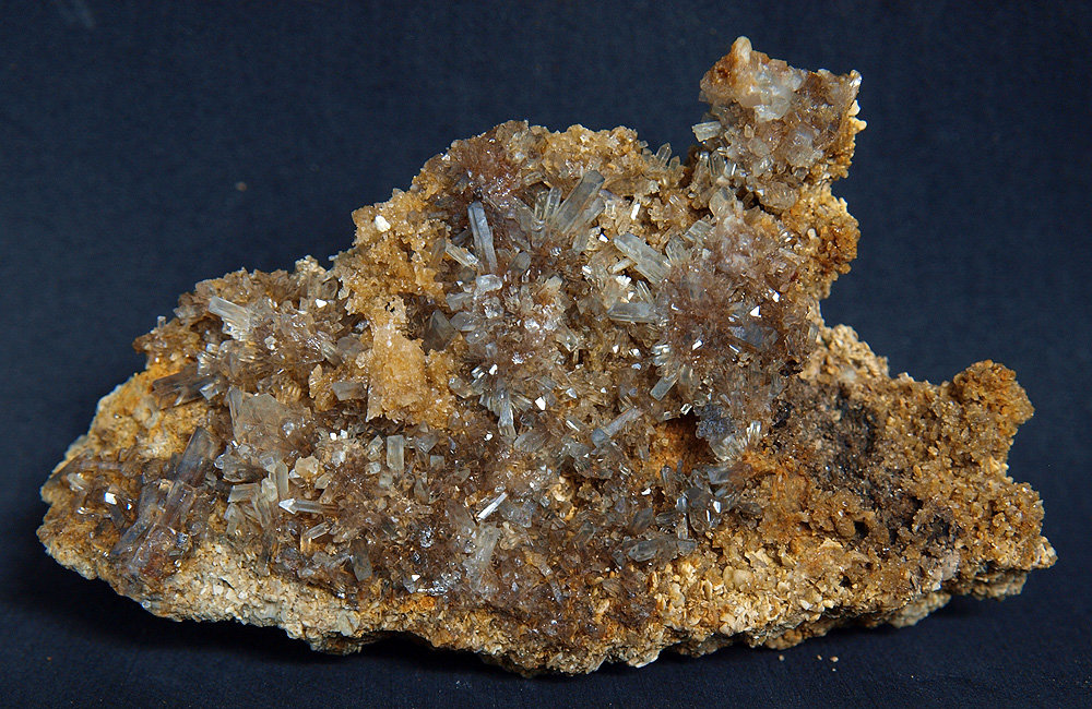 Celestina
9 x 5.5 cm
(Autor: Pedro Antonio)