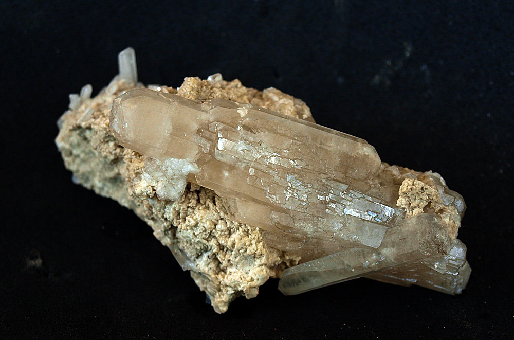 Celestina
7.5 x 3.5 cm
(Autor: Pedro Antonio)