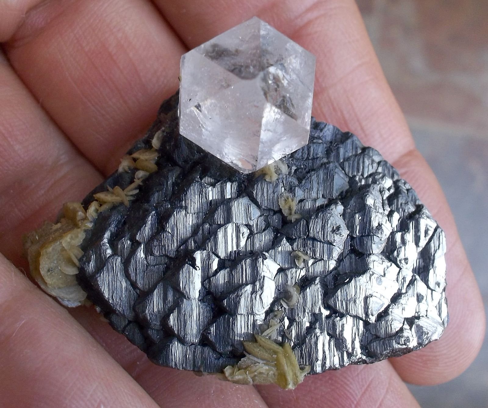 Esfalerita, Cuarzo y Siderita
4,6 x 3,4 cm
(Autor: Cristalino)