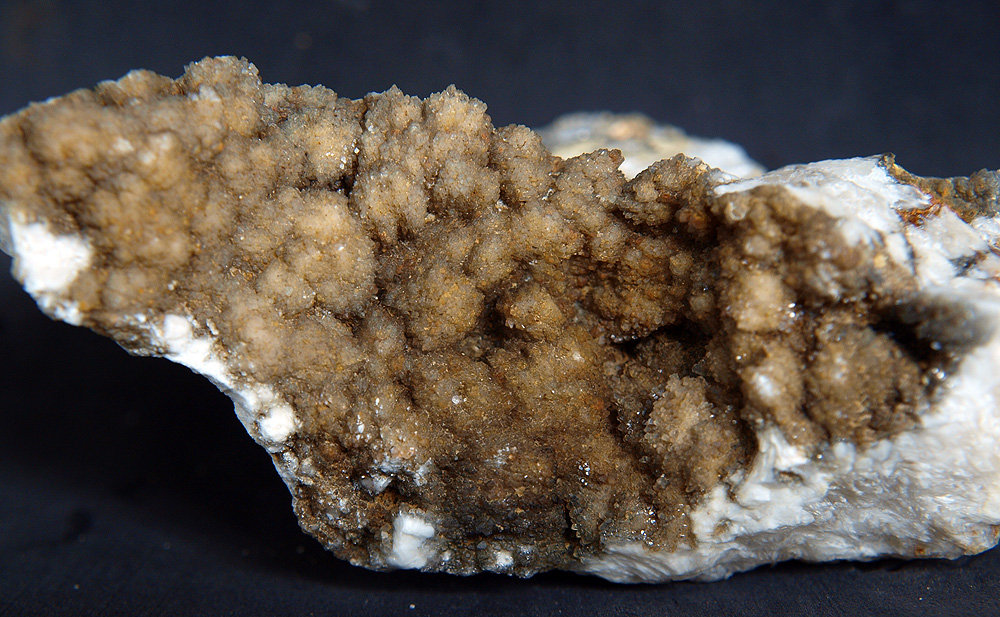 Celestina
11 x 4.5 cm
(Autor: Pedro Antonio)