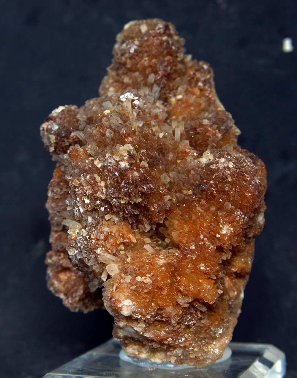 Celestina
11 x 7 cm
(Autor: Pedro Antonio)