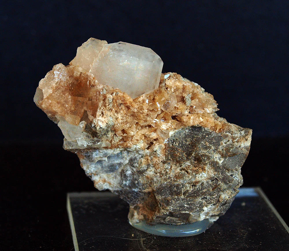 Celestina
5 x 3 cm
(Autor: Pedro Antonio)