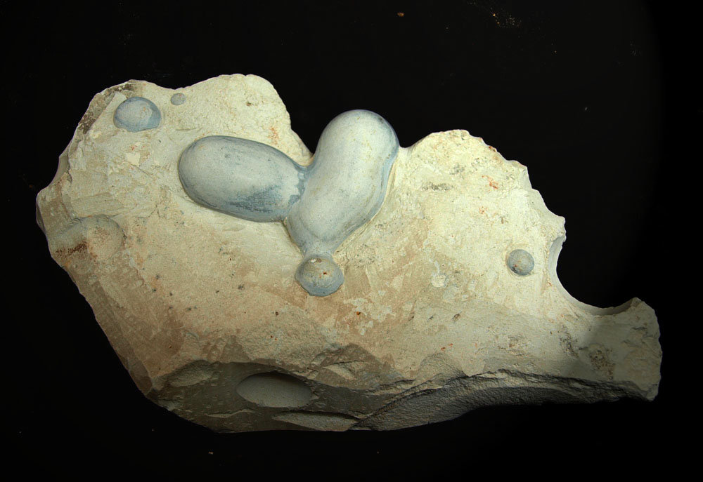 Opalo (variedad menilito)
14.5 x 8 cm
(Autor: Pedro Antonio)