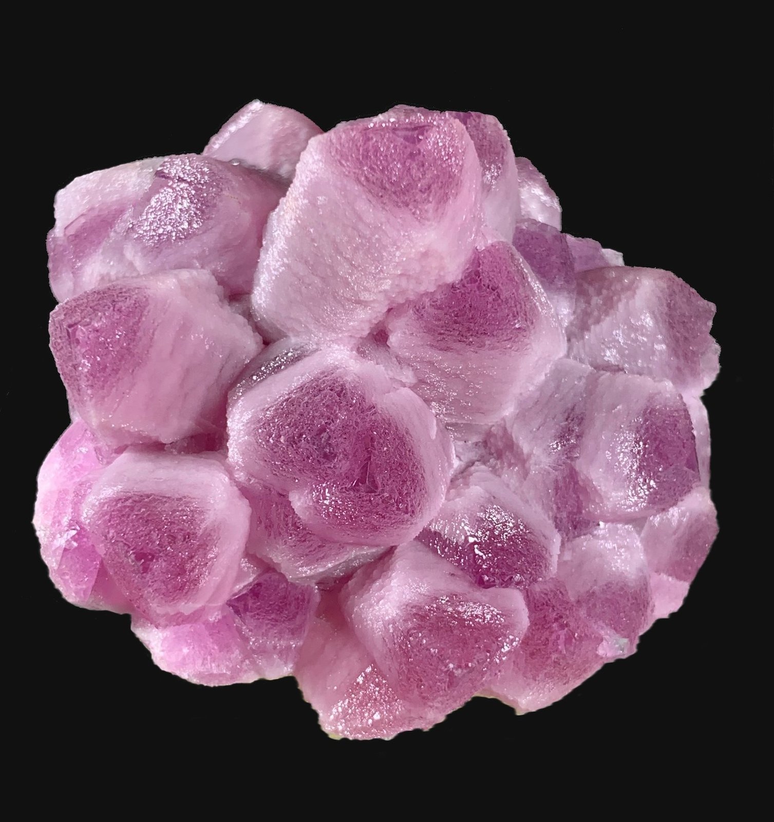 Calcita (variedad cobaltífera)
5,5 x 5,4 cm.
(Autor: Xavier bordas)