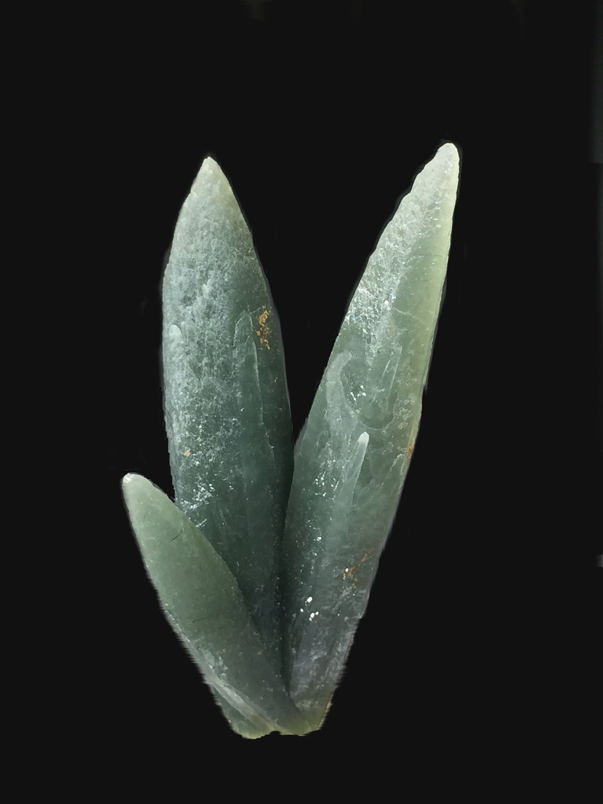 Cuarzo (variedad prasio)
6,2 x 2,6 cm.
(Autor: Xavier bordas)