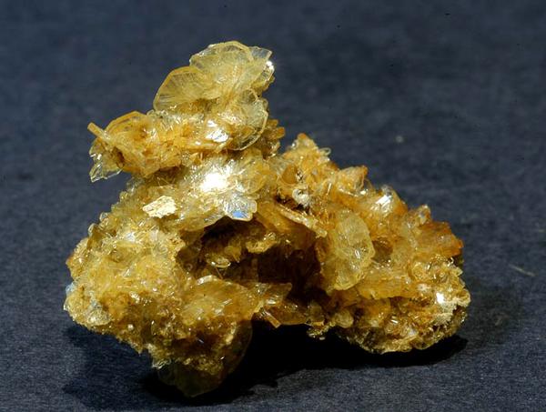 (Autor: Carlos Pareja)