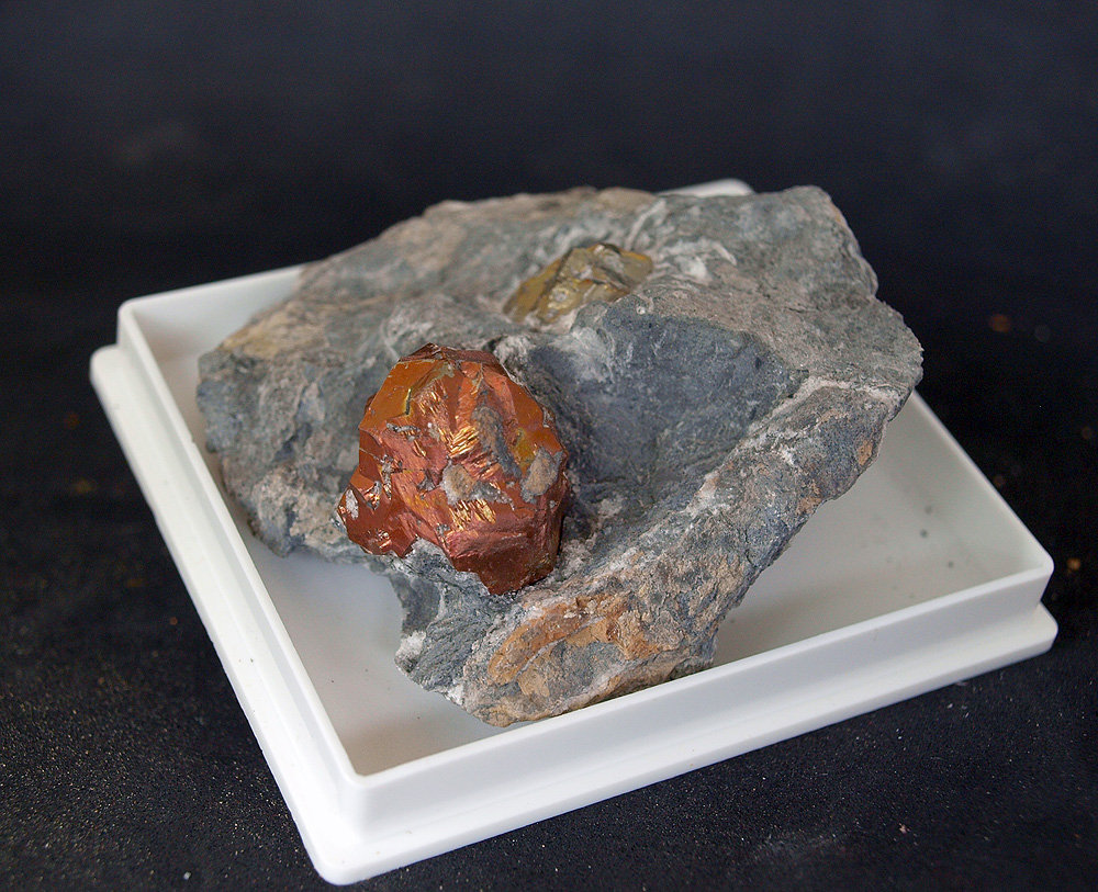 Pirita
7 x 5.5 cm
(Autor: Pedro Antonio)