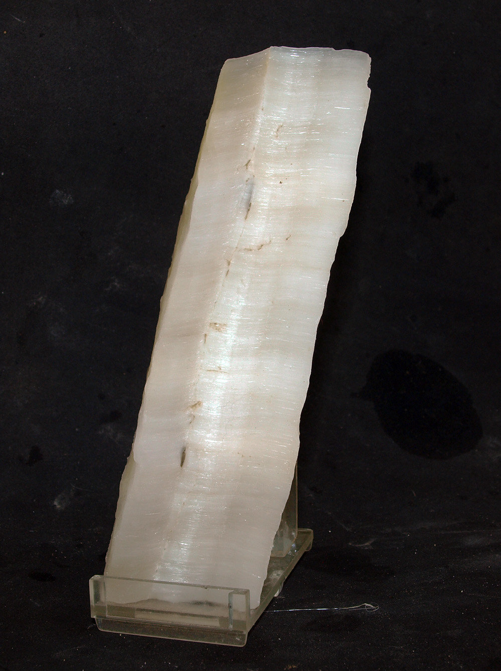 Yeso
14.5 x 4 cm
(Autor: Pedro Antonio)