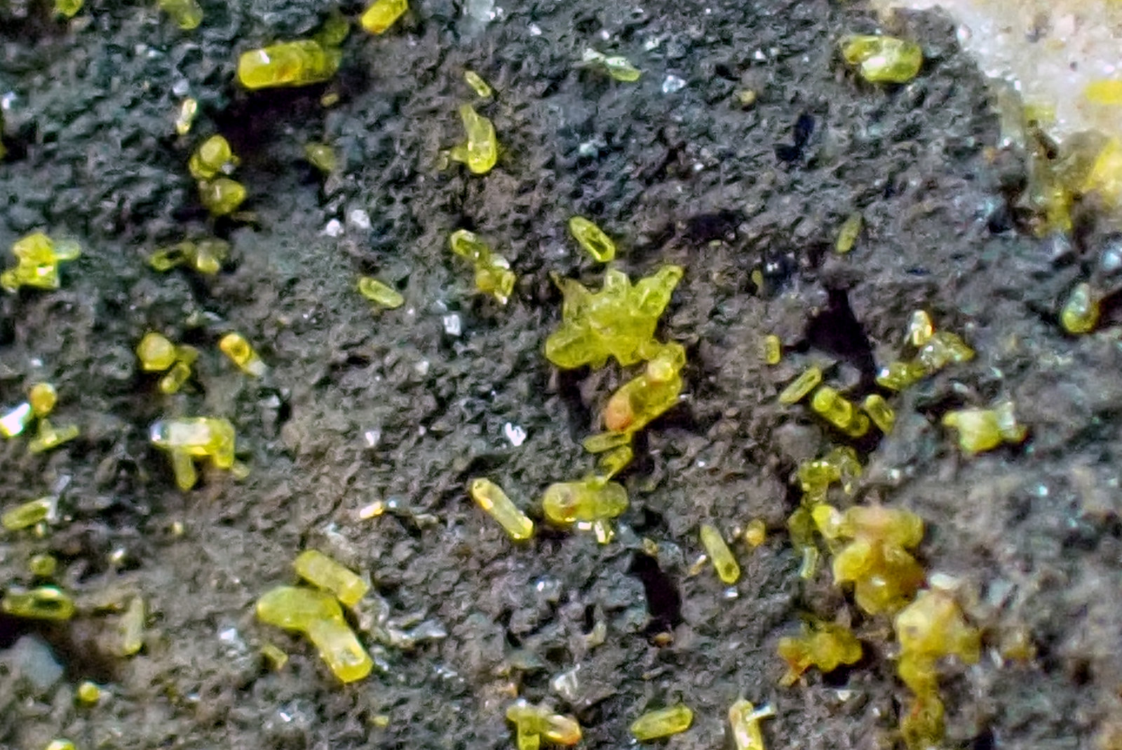 Mimetita y Galena
Medida: 7,3 x 3,1 x 2,6 cms
(Autor: Joan Martinez Bruguera)
