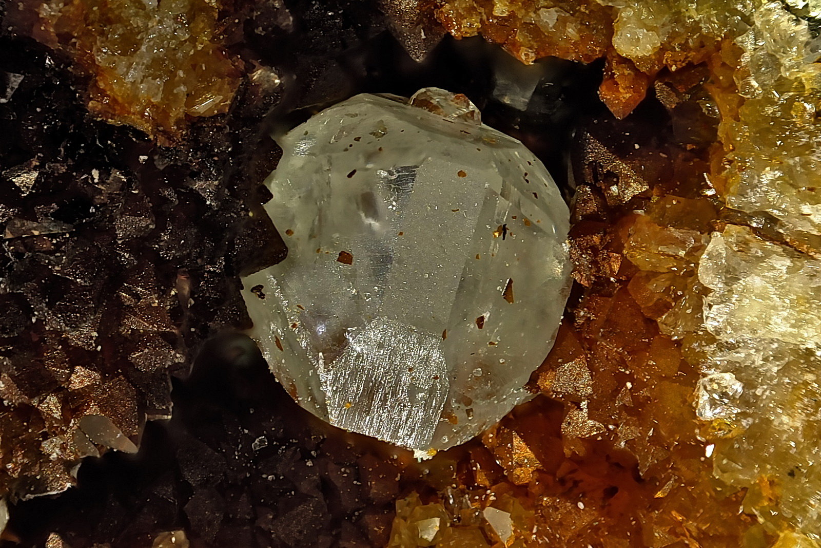 Anglesita
Cristal 3 mm
(Autor: Jorgina-Agusti-Màrius)
