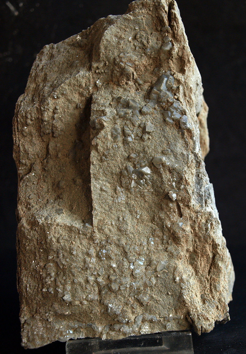 Celestina
12 x 7.5 cm
(Autor: Pedro Antonio)