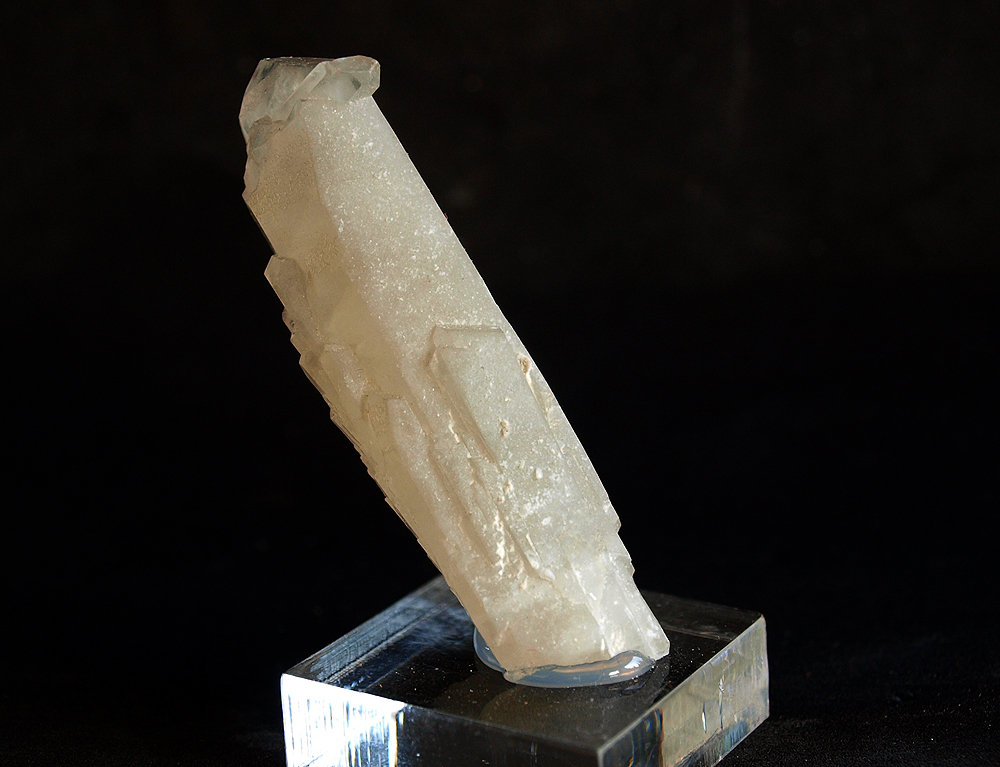 Celestina
6 x 1.5 cm
(Autor: Pedro Antonio)