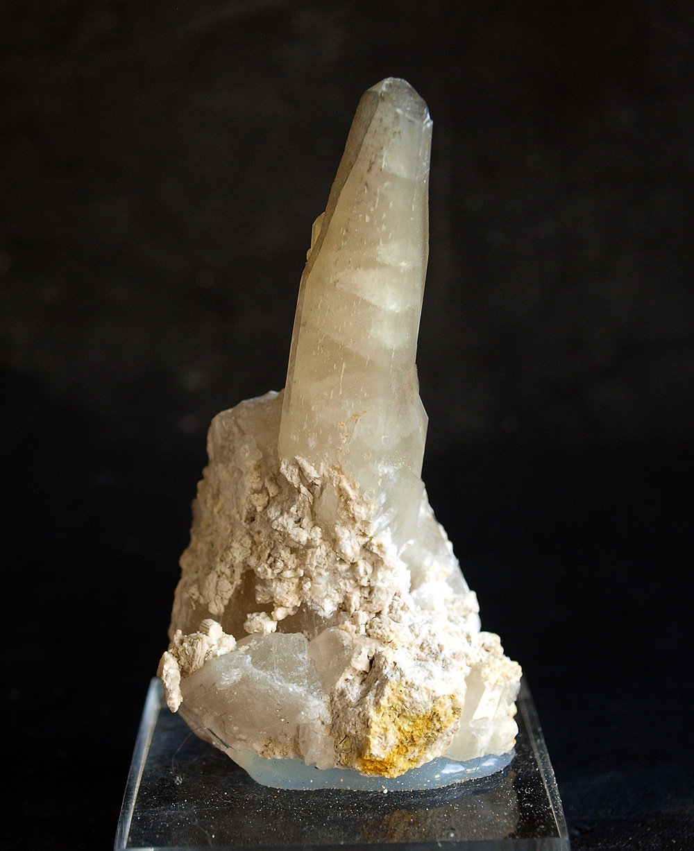 Celestina
6.5 x 3.5 cm
(Autor: Pedro Antonio)