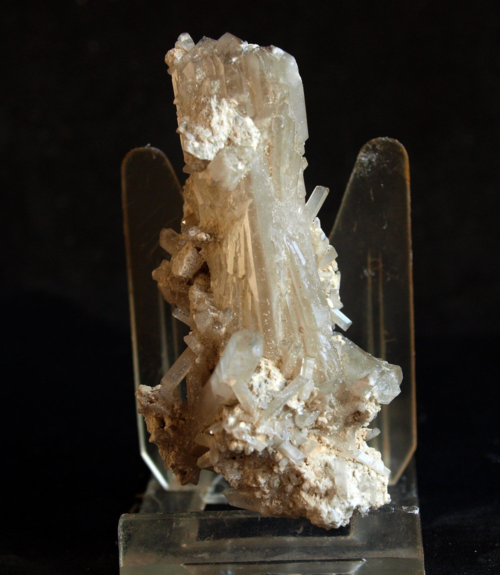 Celestina
7 x 3 cm
(Autor: Pedro Antonio)
