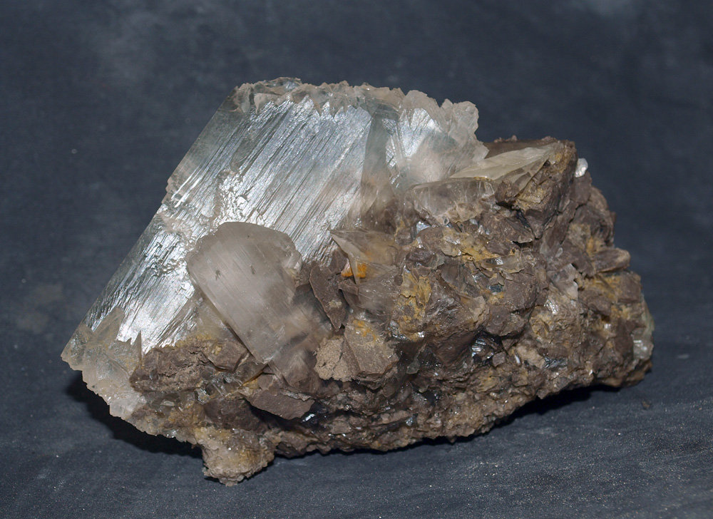 Yeso
11 x 7 cm
(Autor: Pedro Antonio)