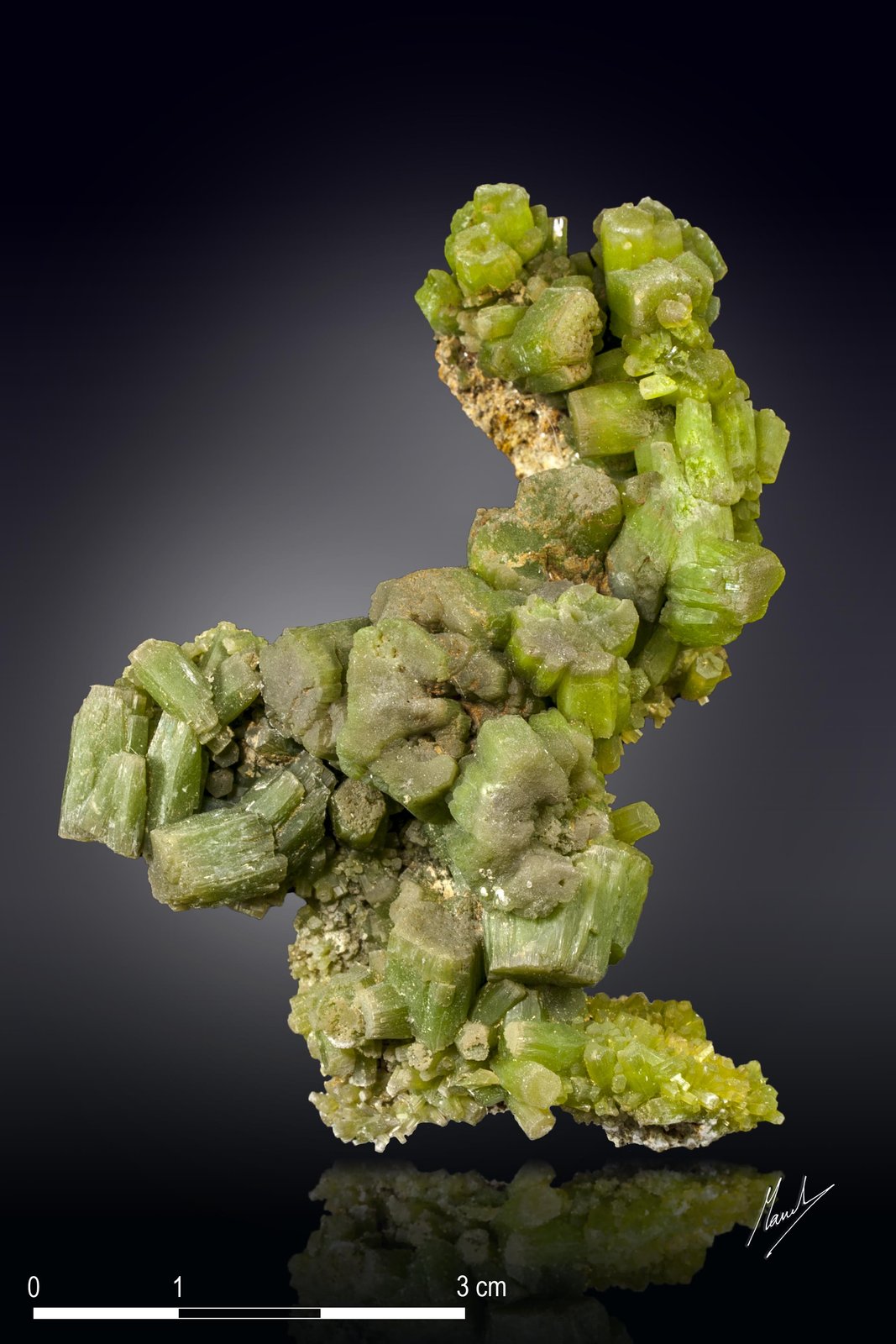 Piromorfita
67 X 36 mm
(Autor: Manuel Mesa)