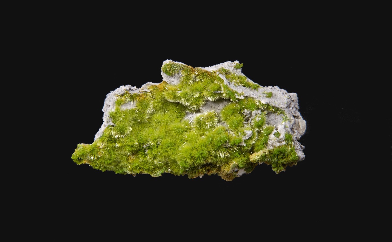 Piromorfita
8,4 x 4,6 cm.
(Autor: Xavier bordas)