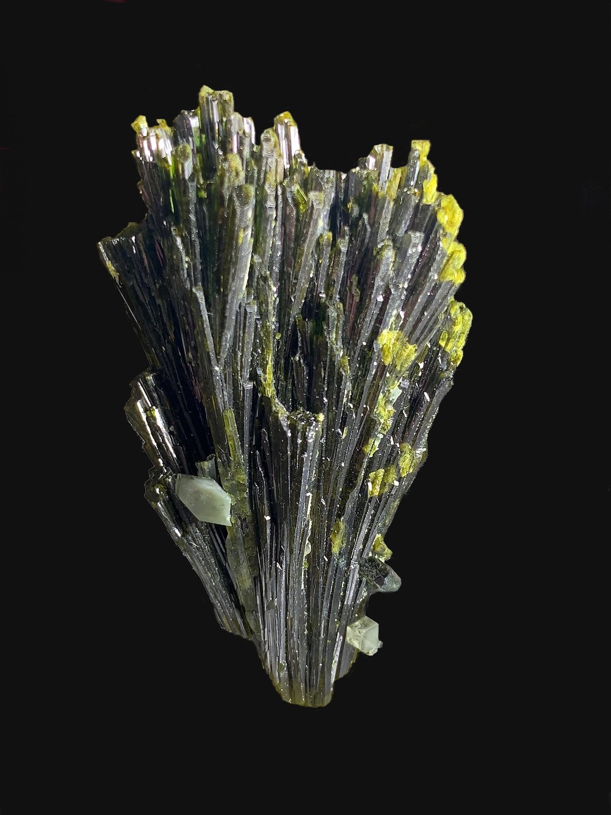 Epidota
4,8 x 3,0 cm.
(Autor: Xavier bordas)