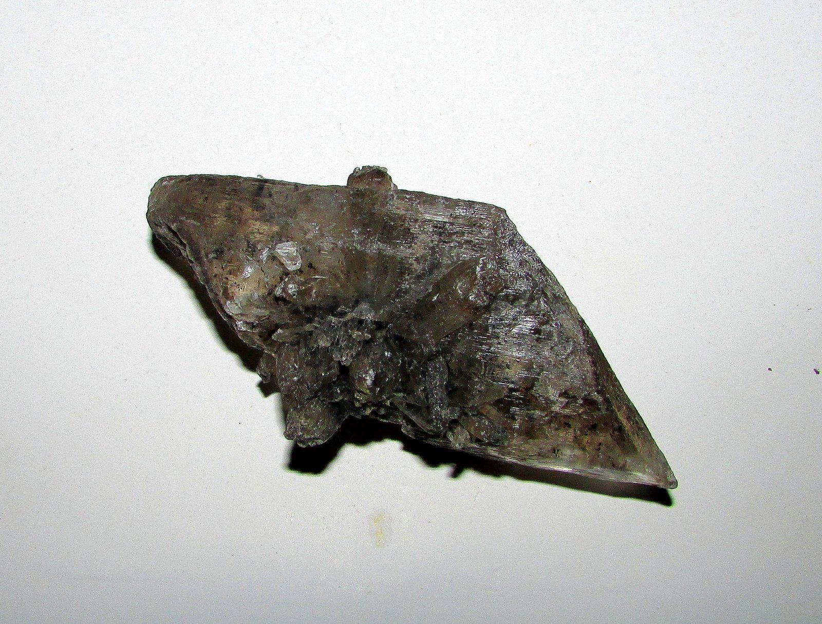 Yeso.
9 x 4 cm.
(Autor: Jordi Franco)