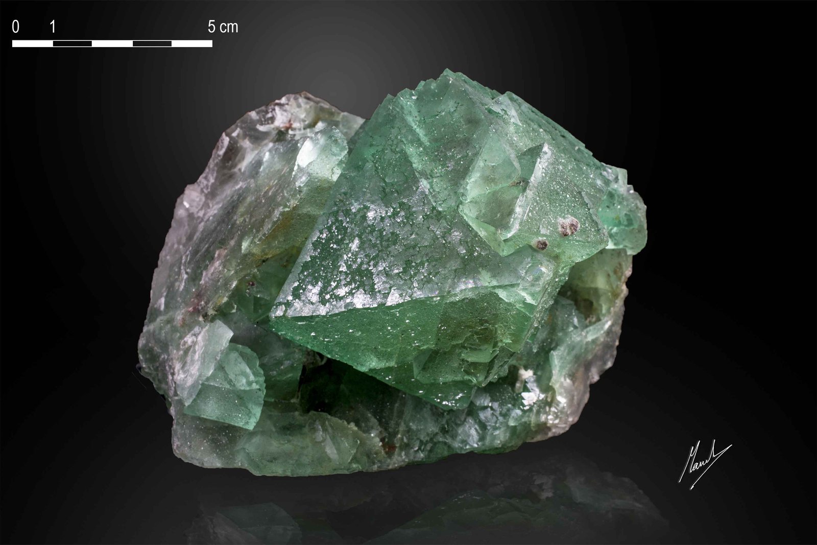 Fluorita
125 X 105 mm
(Autor: Manuel Mesa)