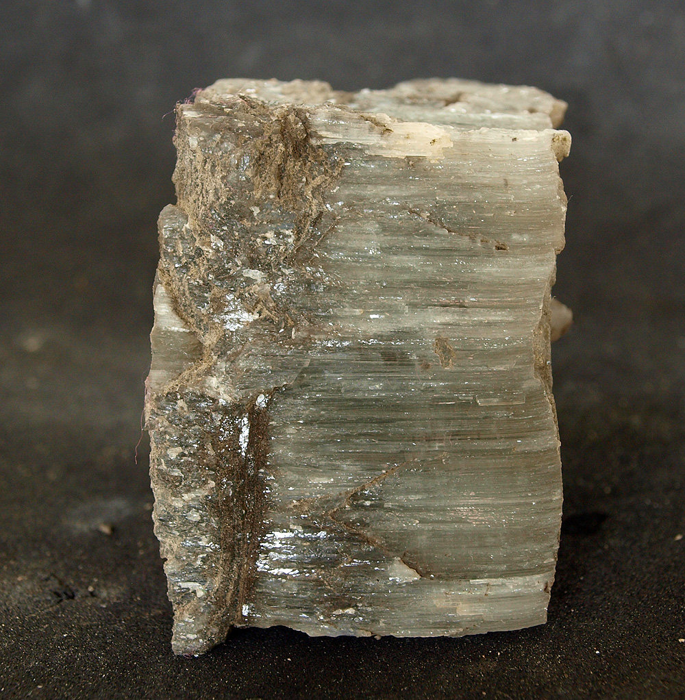 Celestina
8 x 4.5 cm
(Autor: Pedro Antonio)