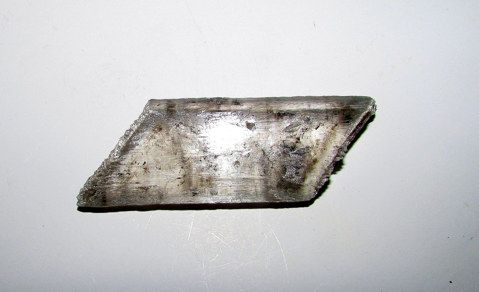 Yeso.
7'2 x 2'6 cm.
(Autor: Jordi Franco)