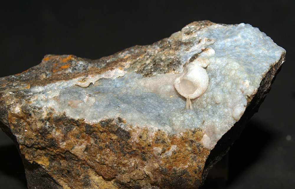 Cuarzo (variedad calcedonia) y clinoptilolita
7.5 x 5 cm
(Autor: Pedro Antonio)