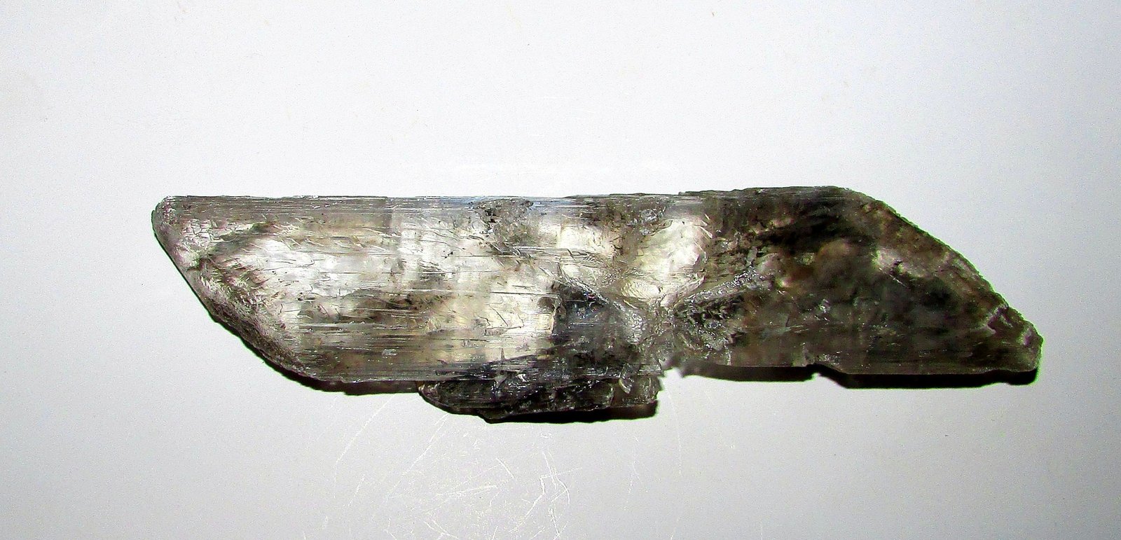 Yeso.
12'8 x 3'4 cm.
(Autor: Jordi Franco)