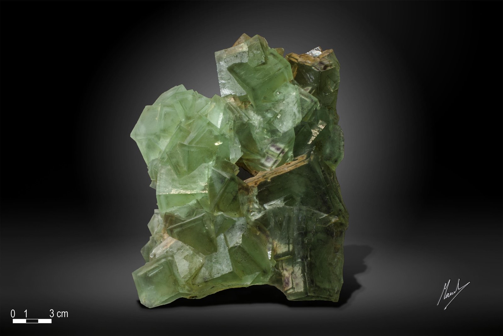 Fluorita
196 X 145 mm
(Autor: Manuel Mesa)