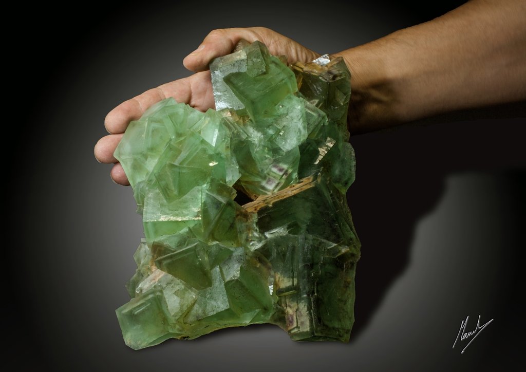 Fluorita
196 X 145 mm. Cristal 63 mm. Peso 1917 g.
(Autor: Manuel Mesa)