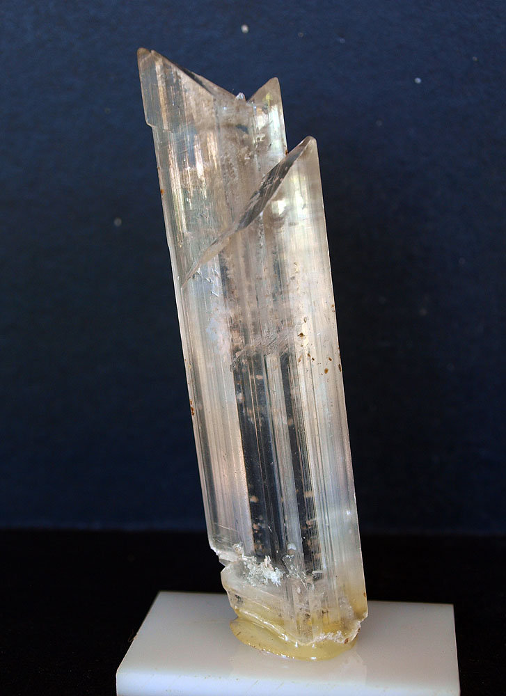 Yeso
9 x 2.5 cm
(Autor: Pedro Antonio)