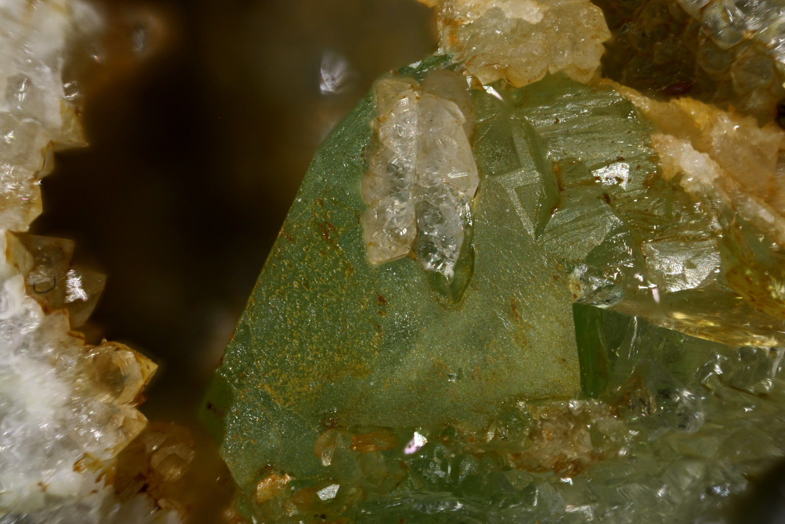 Anglesita
Cristal 8 mm
(Autor: Jorgina-Agusti-Màrius)