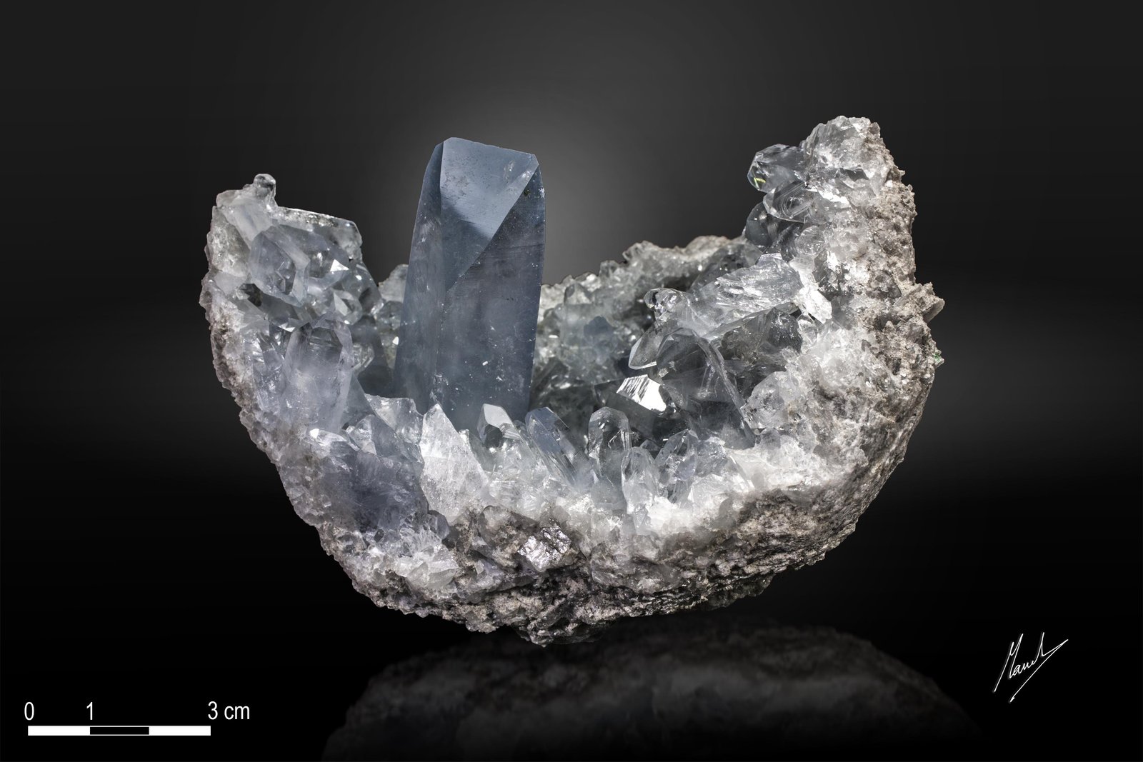 Celestina
118 X 98 mm
(Autor: Manuel Mesa)