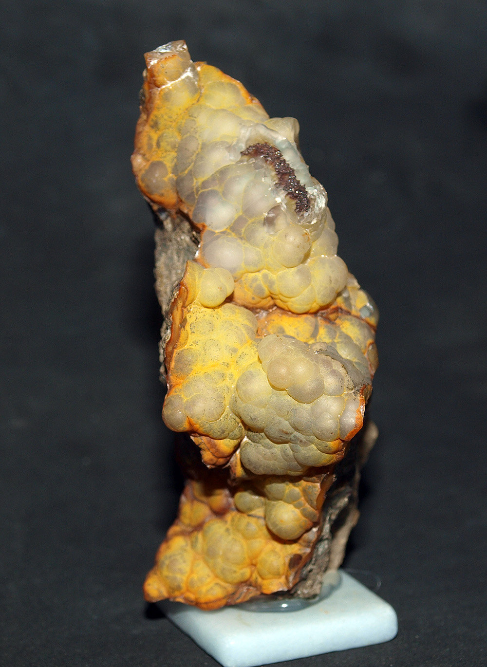 Cuarzo (variedad calcedonia)
7.6 x 3.5 cm
(Autor: Pedro Antonio)
