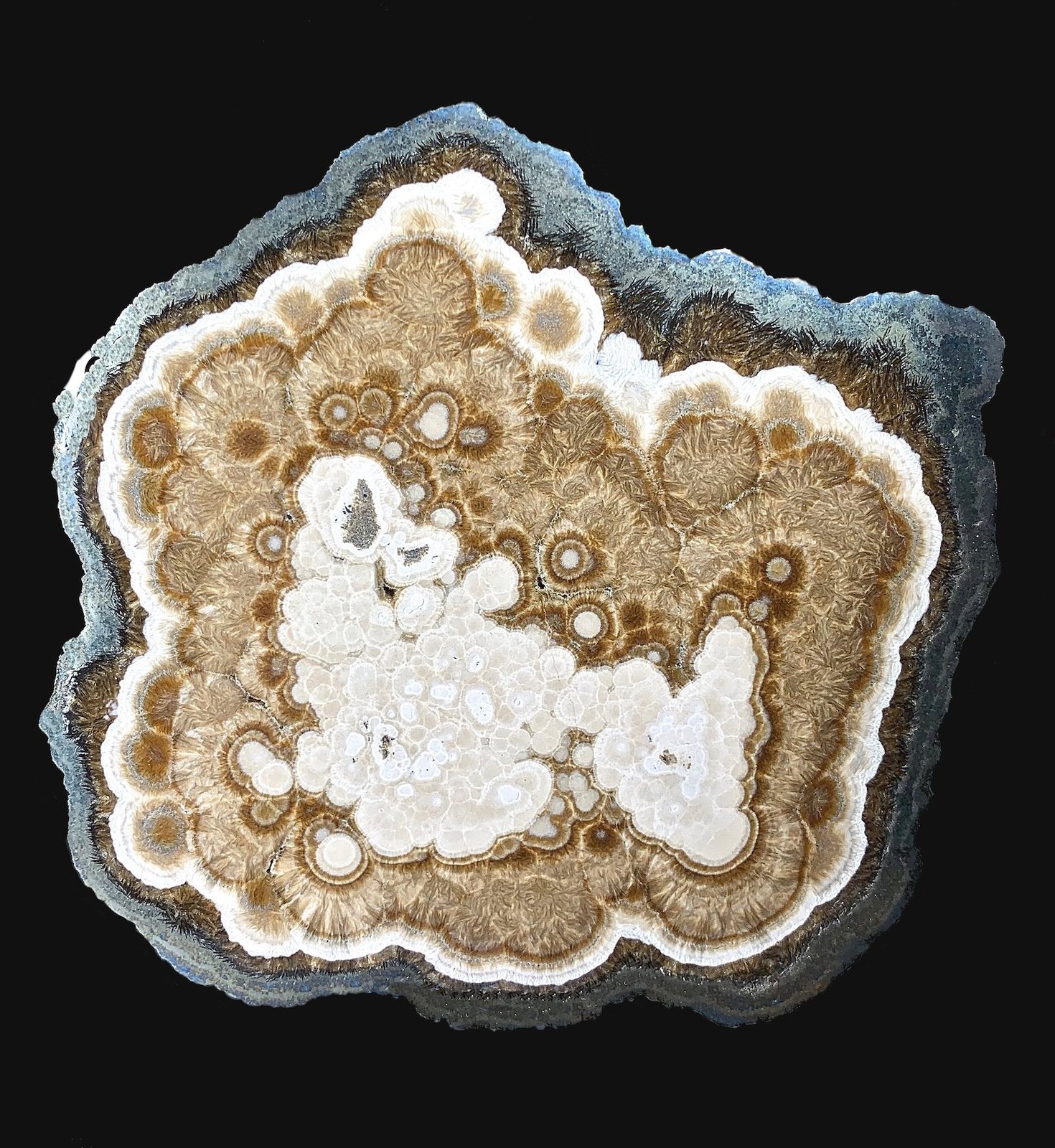 Marcasita
14,5 x 12,6 cm.
(Autor: Xavier bordas)