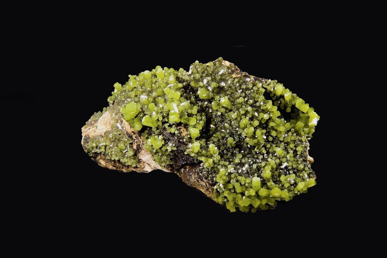 Piromorfita
14,0 x 7,1 cm.
(Autor: Xavier bordas)