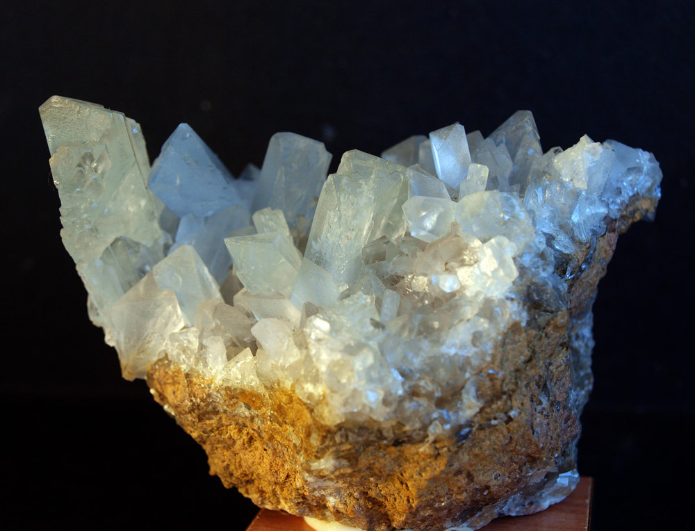 Celestina
10 x 6 cm
(Autor: Pedro Antonio)