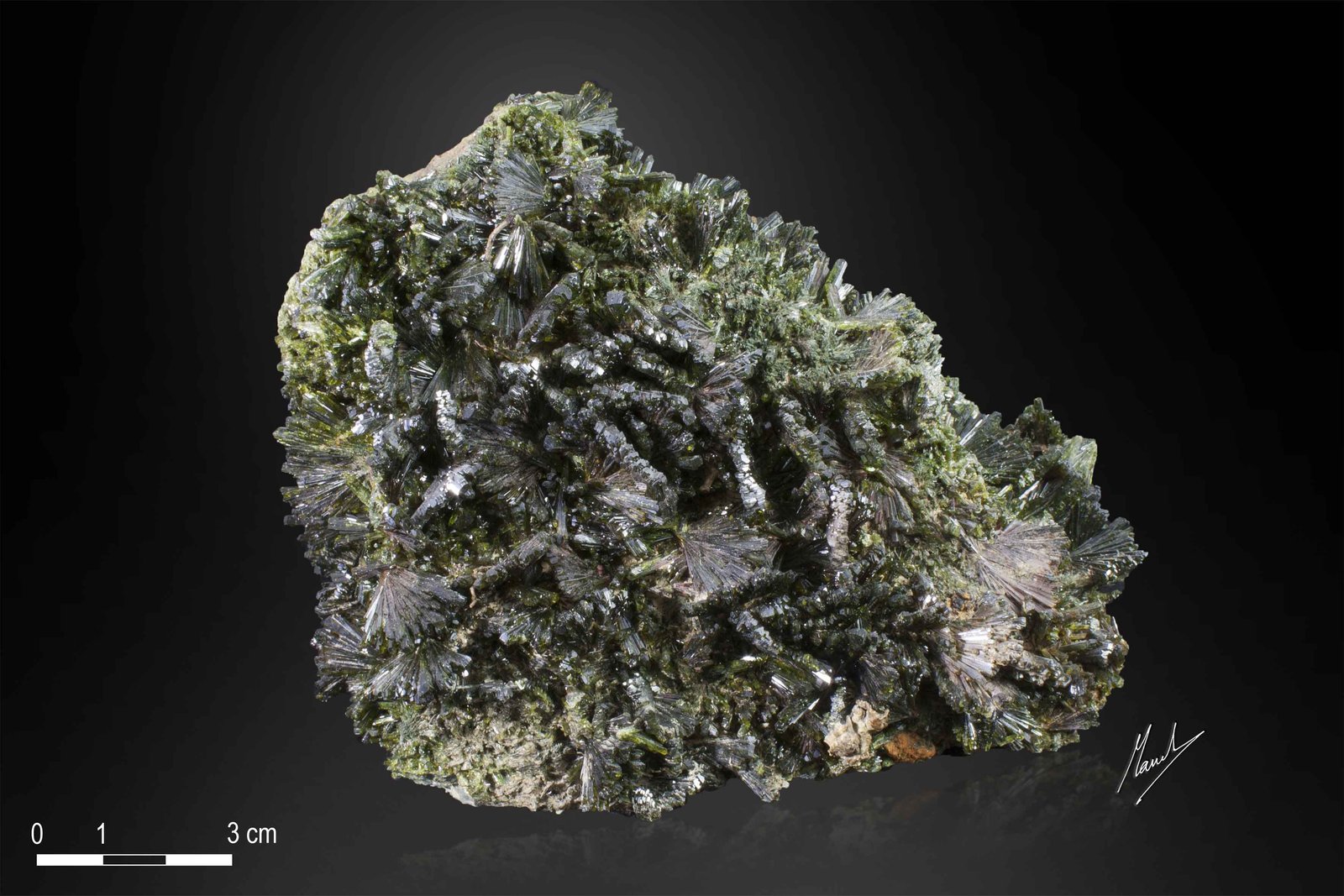 Epidota
130 X 94 mm
(Autor: Manuel Mesa)