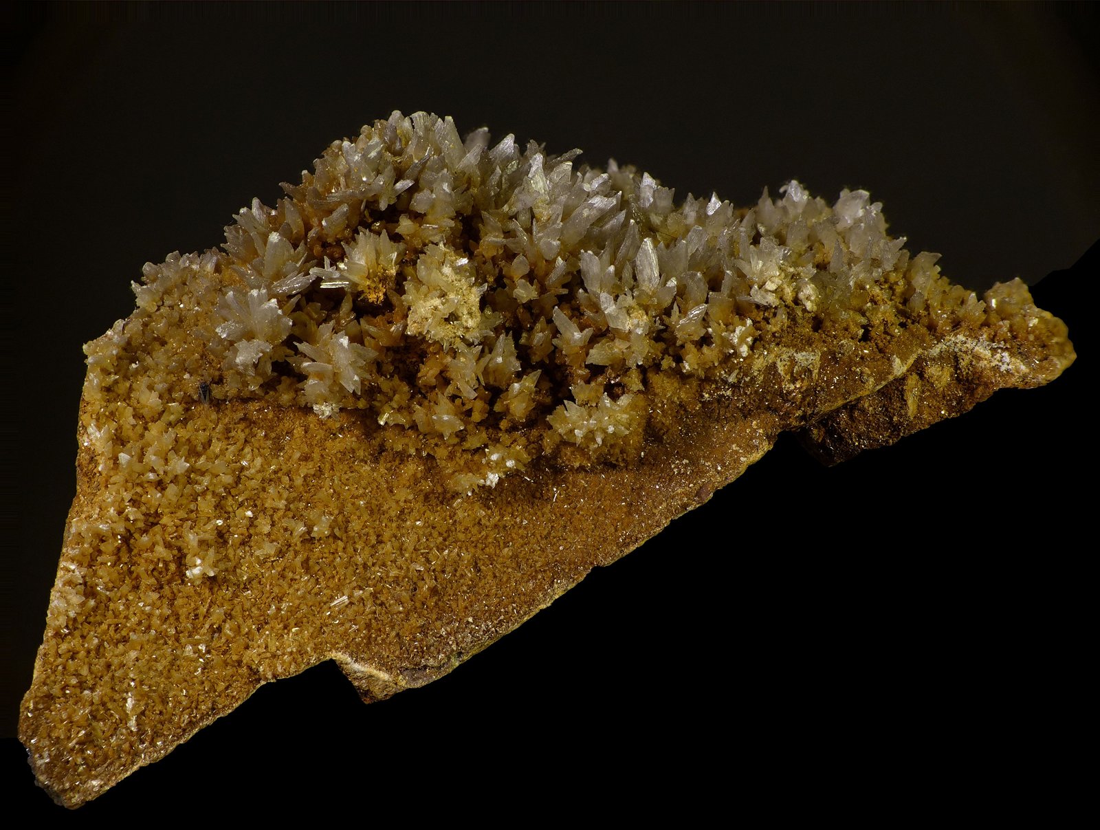 Yeso
7 x 3 x 3 cm
(Autor: Javier Rodriguez)