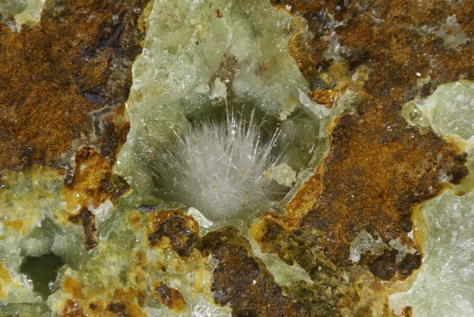 Fluorapatito
Esfera 0,3
(Autor: Jorgina-Agusti-Màrius)