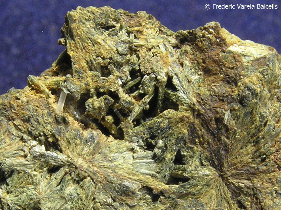 Hedenbergita
Encuadre 2 x 1,5 cm.
(Autor: Frederic Varela)