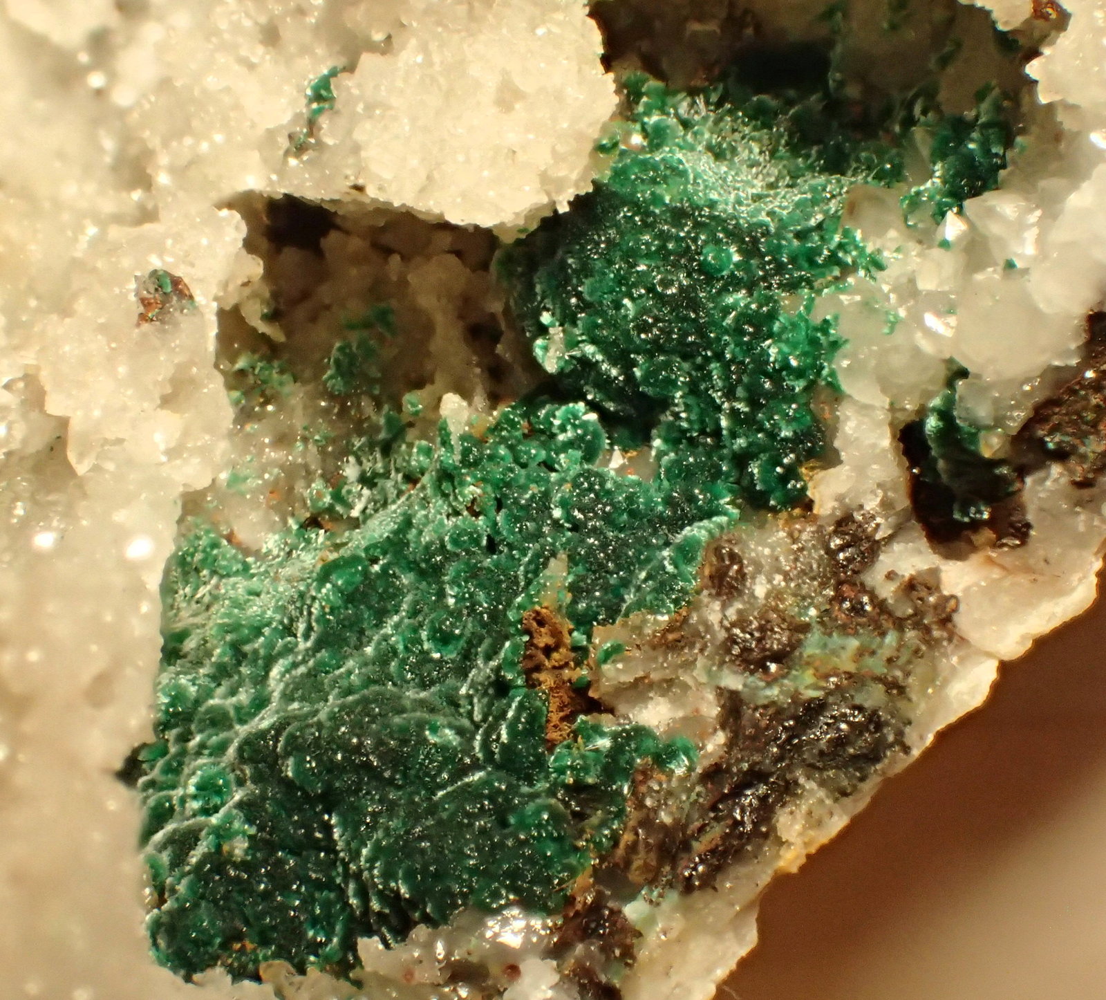 Malaquita, Cuarzo
Encuadre  1,5 x 1,5 cm
(Autor: Frederic Varela)