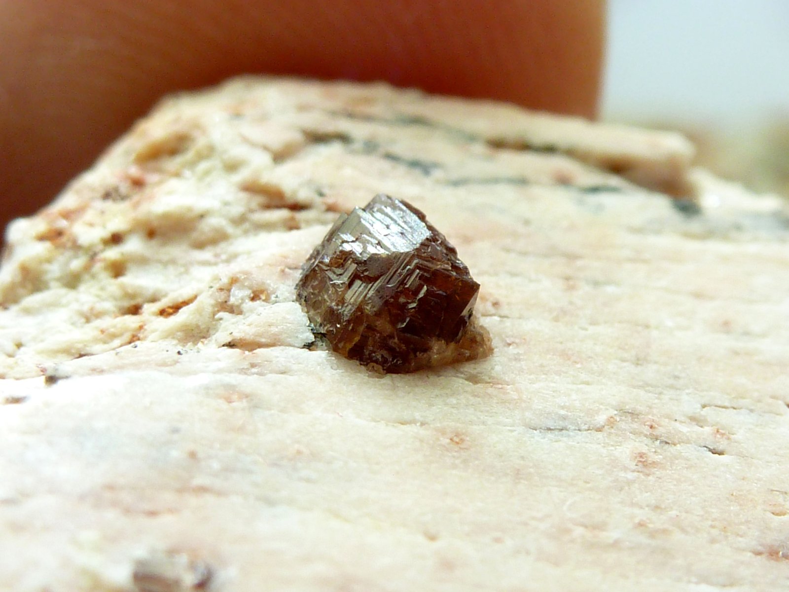 Microclina y Granate
Medida: 3,7 x 1,8 x 1,3 cm, Cristal: 0,4 cm
(Autor: Sergio Pequeño)