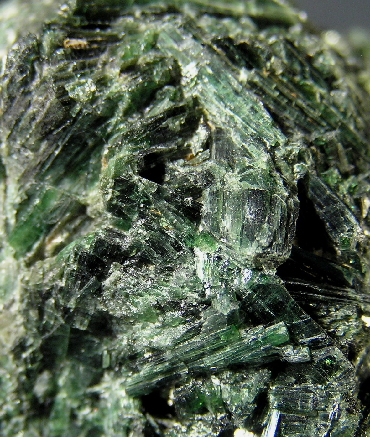 Actinolita
Encuadre 3 x 2 cm aprox.
(Autor: Frederic Varela)