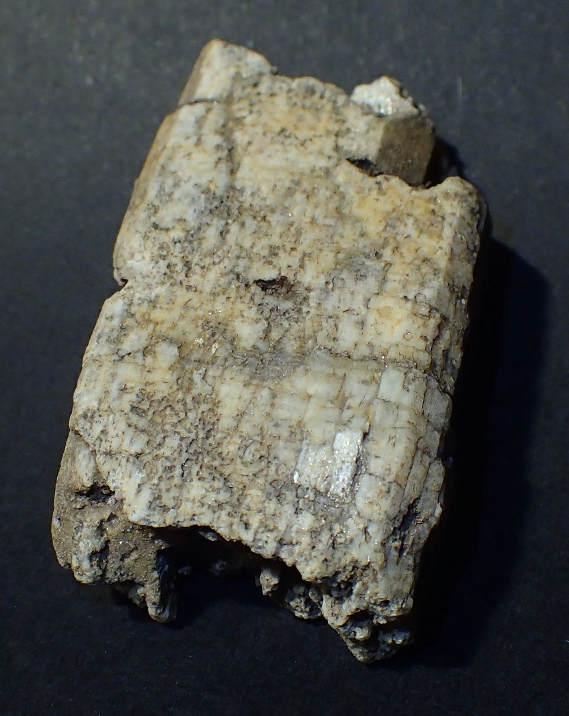Tremolita
4 x 2,5 x 1 cm
(Autor: Frederic Varela)