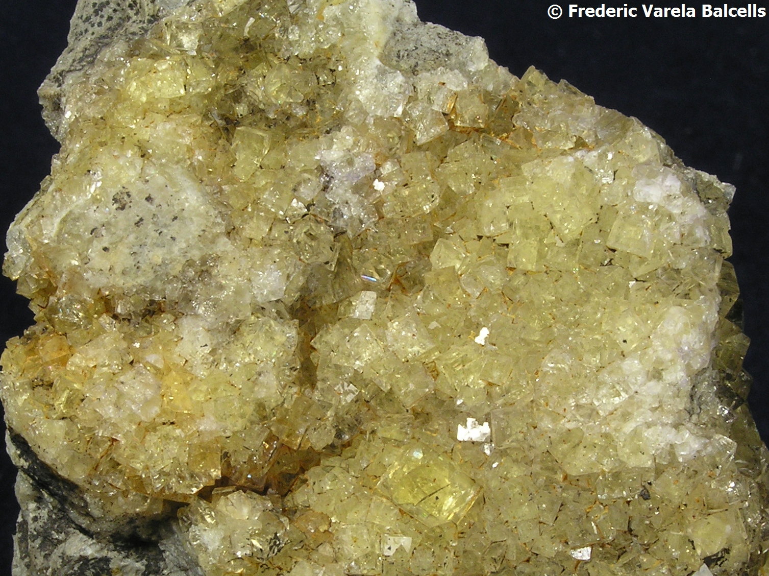 Fluorita
Encuadre 4,5 x 3,5 cm
(Autor: Frederic Varela)